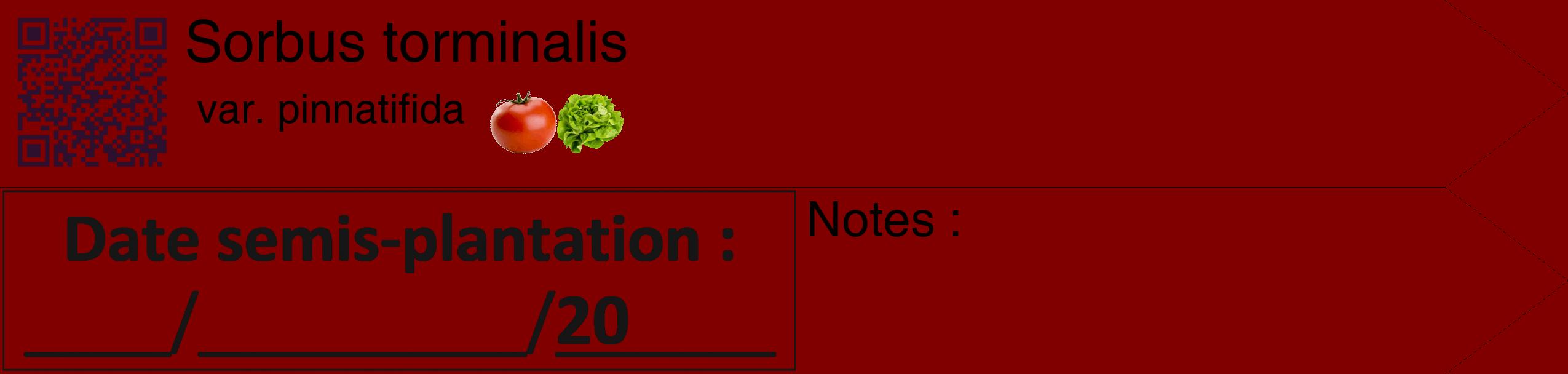 Étiquette de : Sorbus torminalis var. pinnatifida - format c - style noire29_simple_simplehel avec qrcode et comestibilité simplifiée
