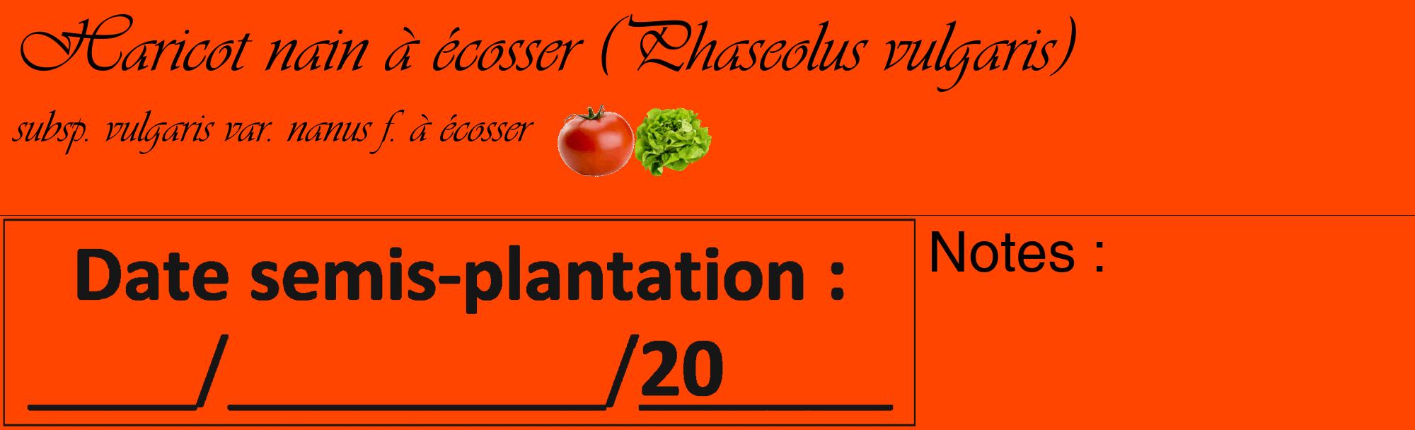 Étiquette de : Phaseolus vulgaris subsp. vulgaris var. nanus f. à écosser - format c - style noire26_basique_basiqueviv avec comestibilité simplifiée
