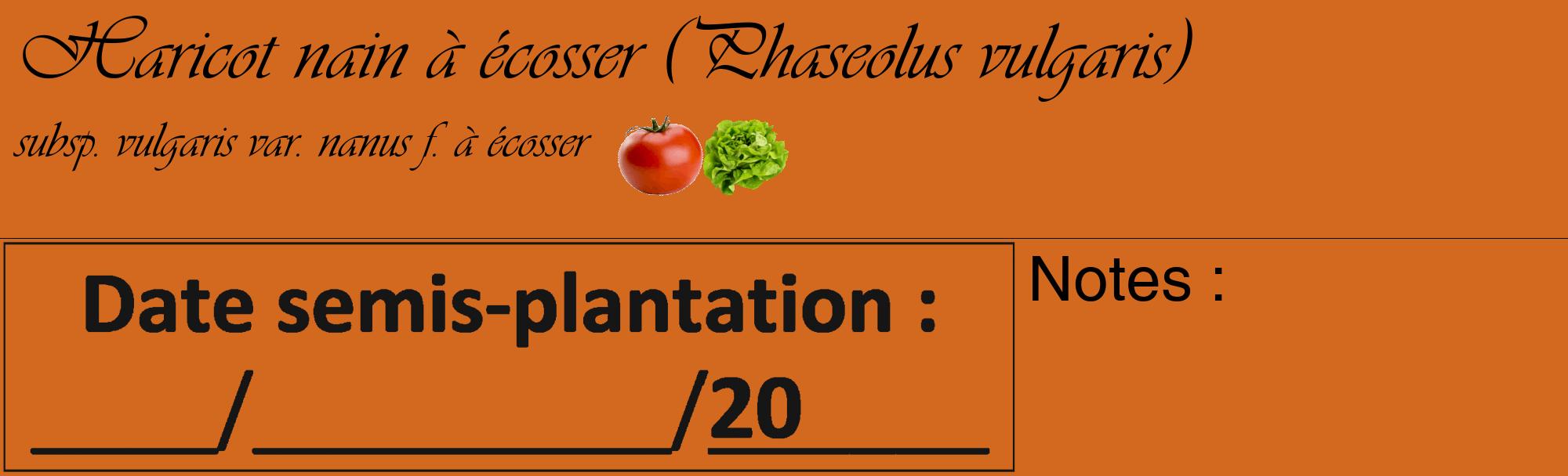 Étiquette de : Phaseolus vulgaris subsp. vulgaris var. nanus f. à écosser - format c - style noire31_basique_basiqueviv avec comestibilité simplifiée