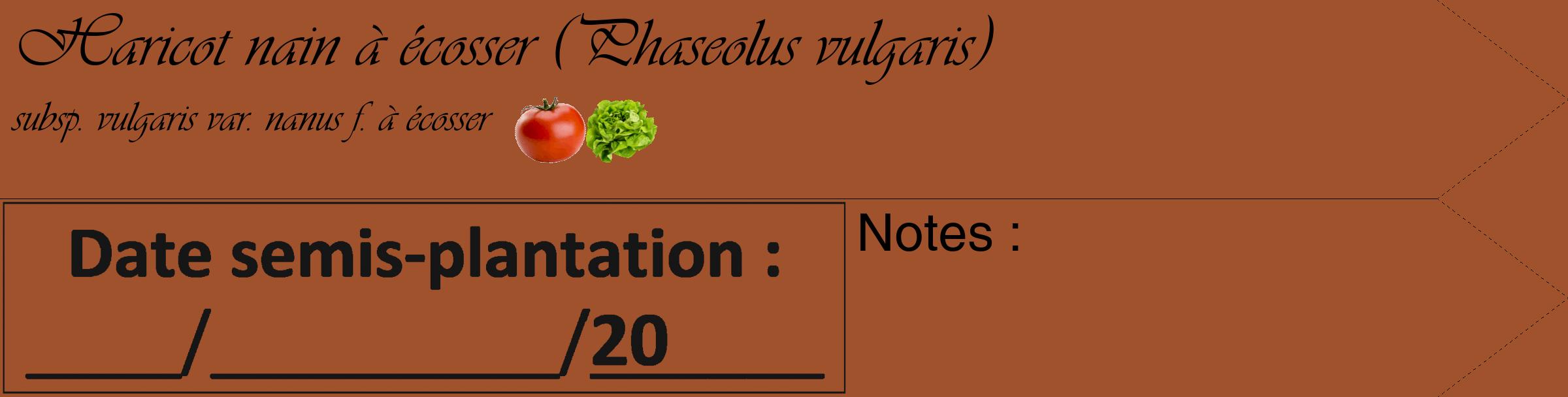 Étiquette de : Phaseolus vulgaris subsp. vulgaris var. nanus f. à écosser - format c - style noire32simple_basique_basiqueviv avec comestibilité simplifiée