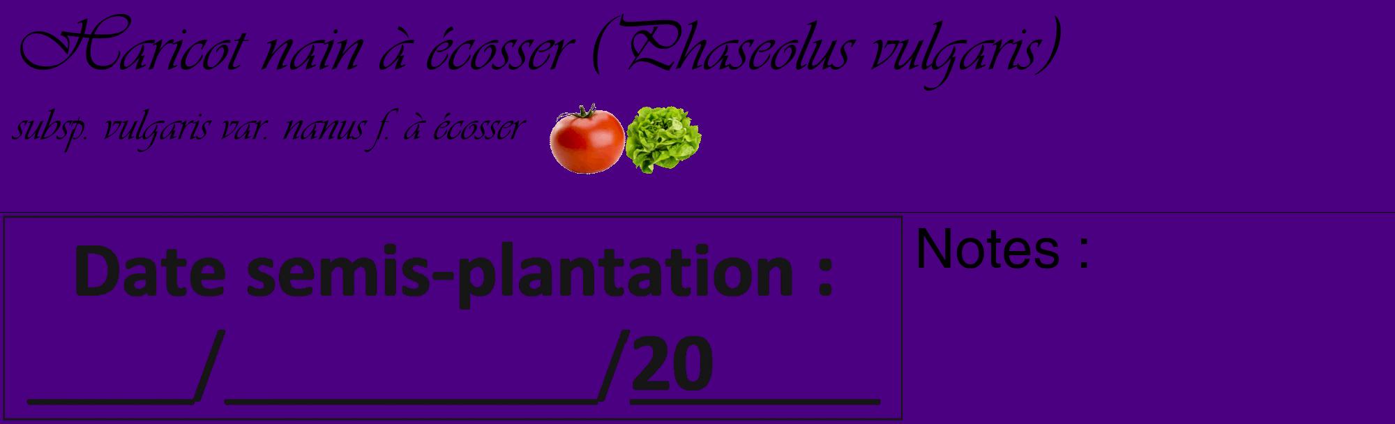 Étiquette de : Phaseolus vulgaris subsp. vulgaris var. nanus f. à écosser - format c - style noire47_basique_basiqueviv avec comestibilité simplifiée