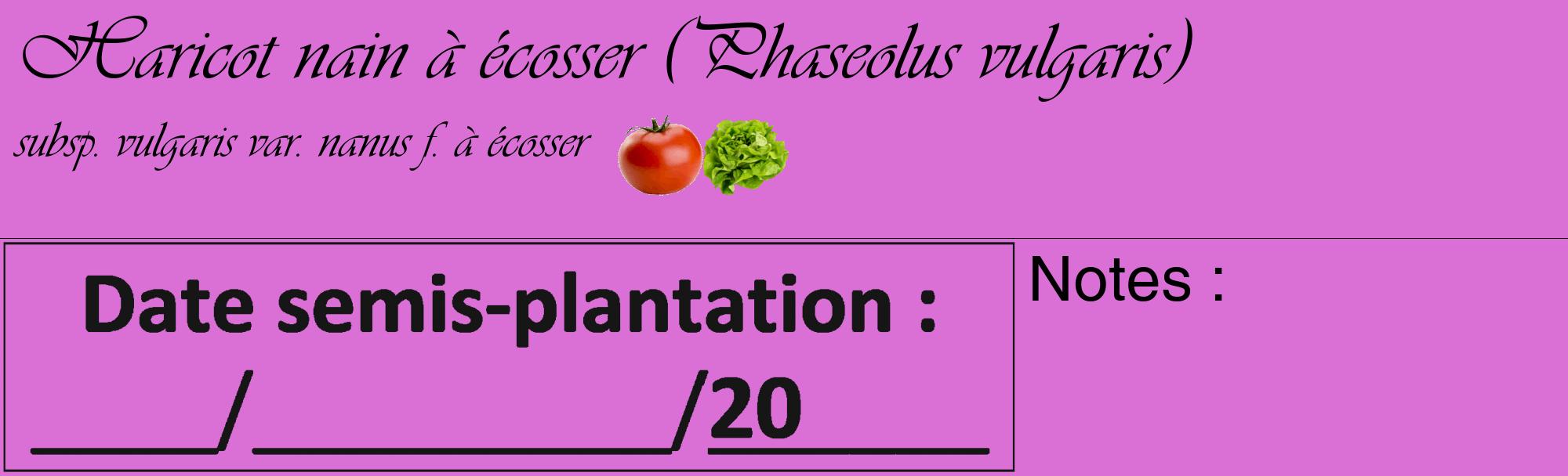 Étiquette de : Phaseolus vulgaris subsp. vulgaris var. nanus f. à écosser - format c - style noire52_basique_basiqueviv avec comestibilité simplifiée