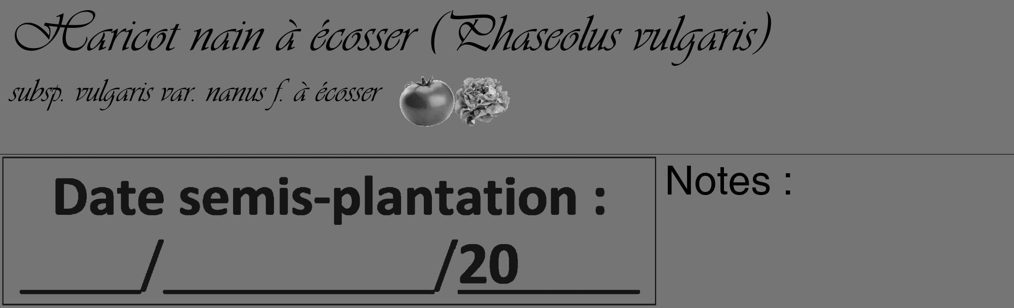 Étiquette de : Phaseolus vulgaris subsp. vulgaris var. nanus f. à écosser - format c - style noire5_basique_basiqueviv avec comestibilité simplifiée