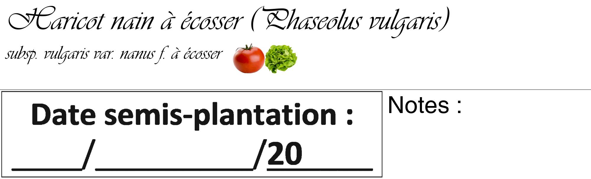 Étiquette de : Phaseolus vulgaris subsp. vulgaris var. nanus f. à écosser - format c - style noire60_basique_basiqueviv avec comestibilité simplifiée