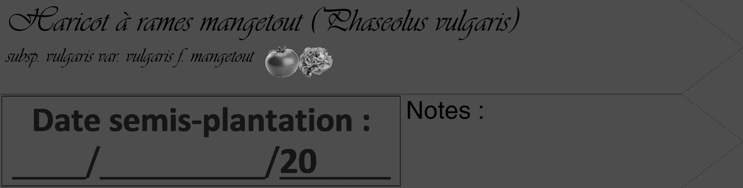 Étiquette de : Phaseolus vulgaris subsp. vulgaris var. vulgaris f. mangetout - format c - style noire28_simple_simpleviv avec comestibilité simplifiée