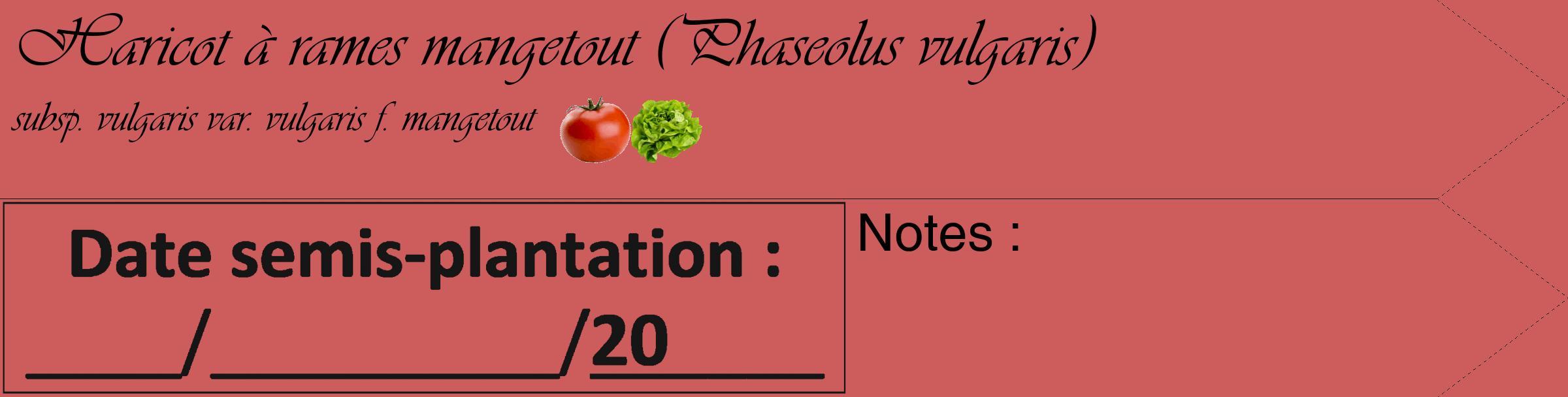 Étiquette de : Phaseolus vulgaris subsp. vulgaris var. vulgaris f. mangetout - format c - style noire35_simple_simpleviv avec comestibilité simplifiée