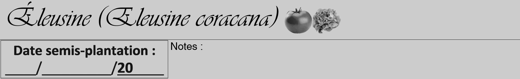 Étiquette de : Eleusine coracana - format a - style noire0viv avec comestibilité simplifiée