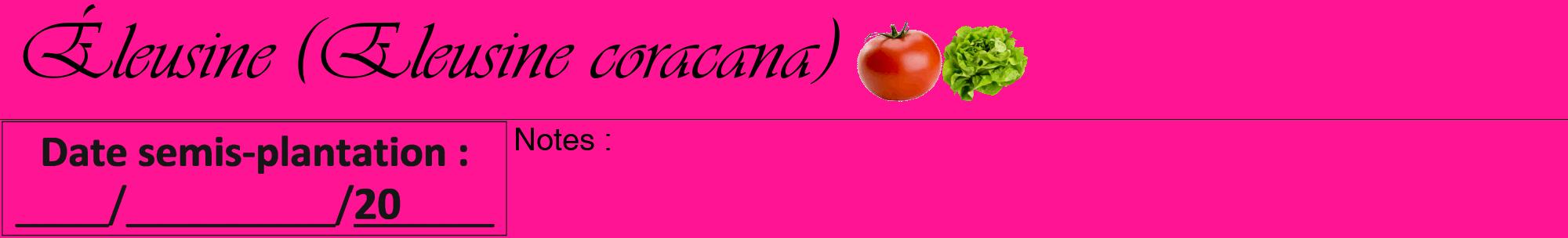 Étiquette de : Eleusine coracana - format a - style noire43viv avec comestibilité simplifiée