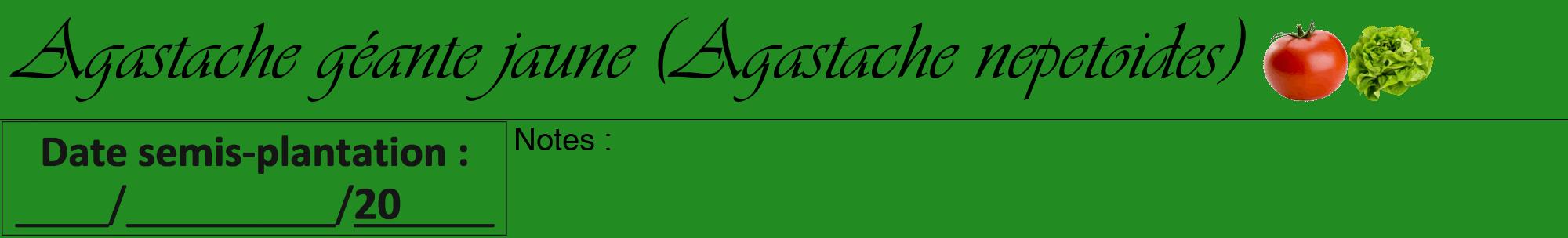 Étiquette de : Agastache nepetoides - format a - style noire10viv avec comestibilité simplifiée