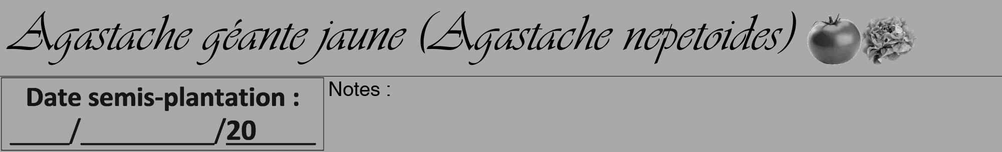 Étiquette de : Agastache nepetoides - format a - style noire13viv avec comestibilité simplifiée