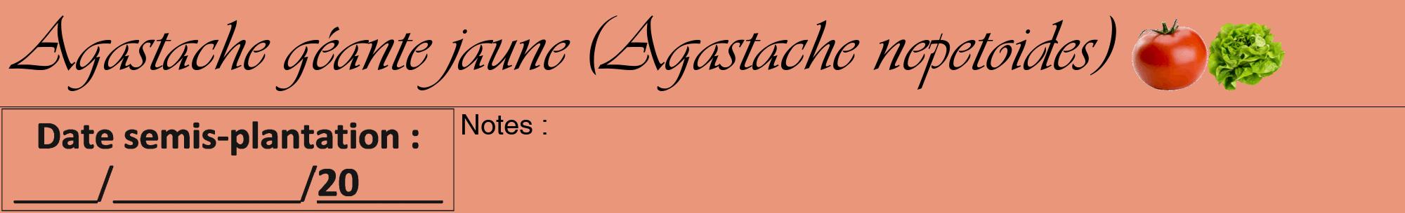 Étiquette de : Agastache nepetoides - format a - style noire37viv avec comestibilité simplifiée