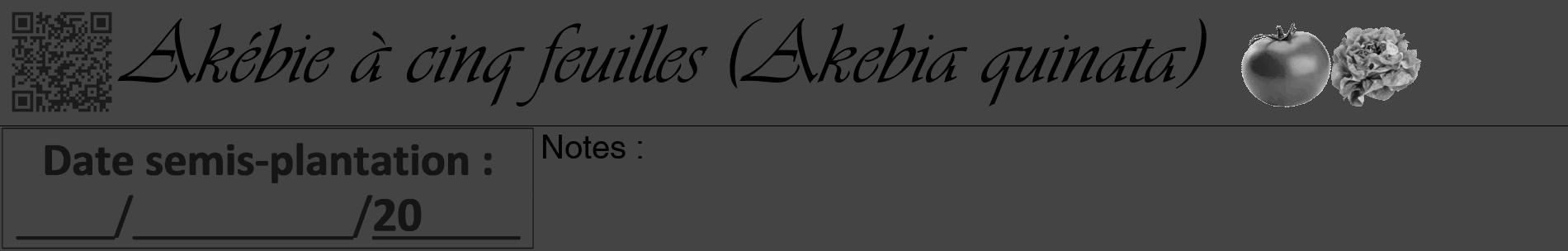 Étiquette de : Akebia quinata - format a - style noire48basiqueviv avec qrcode et comestibilité simplifiée