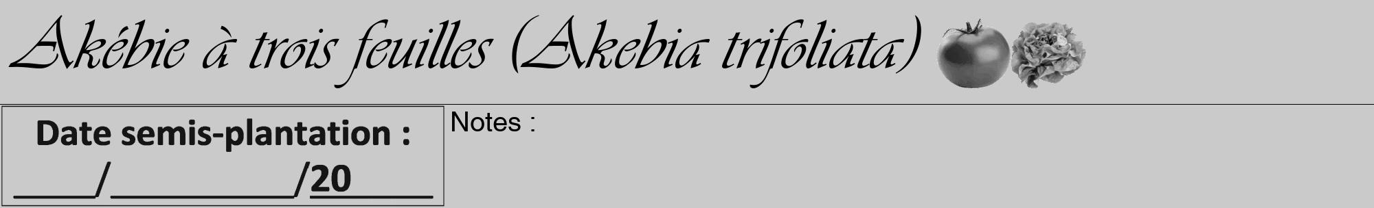 Étiquette de : Akebia trifoliata - format a - style noire21basiqueviv avec comestibilité simplifiée