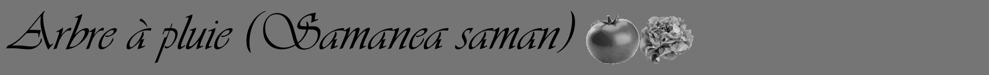 Étiquette de : Samanea saman - format a - style noire5viv avec comestibilité simplifiée