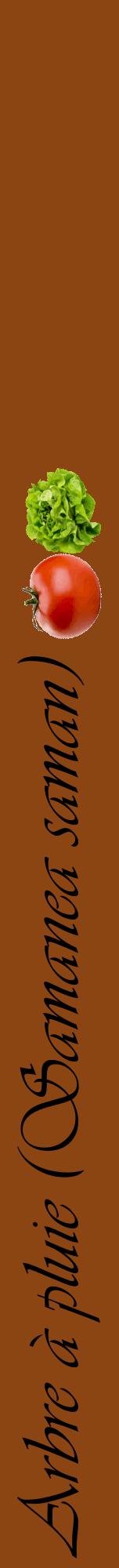 Étiquette de : Samanea saman - format a - style noire30viv avec comestibilité simplifiée