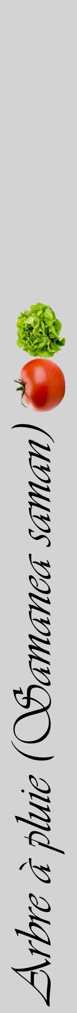 Étiquette de : Samanea saman - format a - style noire56viv avec comestibilité simplifiée