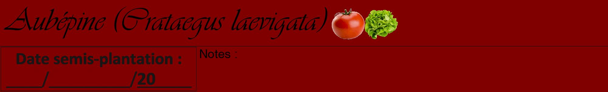 Étiquette de : Crataegus laevigata - format a - style noire29viv avec comestibilité simplifiée