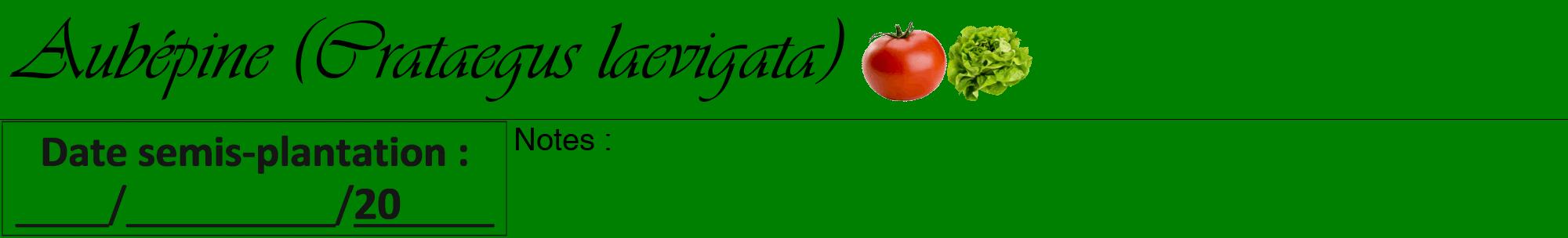 Étiquette de : Crataegus laevigata - format a - style noire9viv avec comestibilité simplifiée