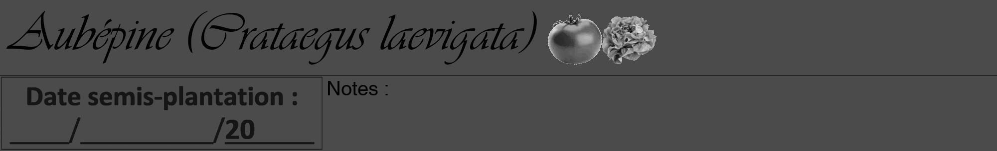 Étiquette de : Crataegus laevigata - format a - style noire9viv avec comestibilité simplifiée