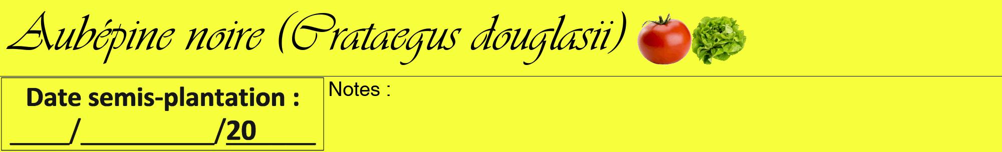 Étiquette de : Crataegus douglasii - format a - style noire18viv avec comestibilité simplifiée