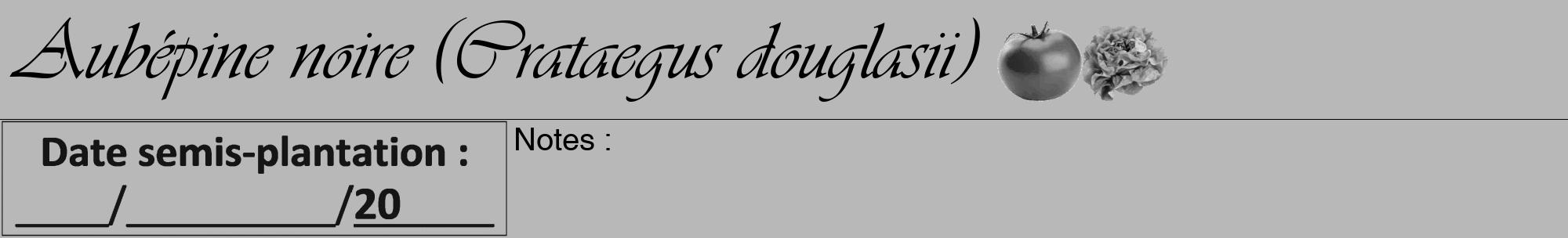 Étiquette de : Crataegus douglasii - format a - style noire39viv avec comestibilité simplifiée