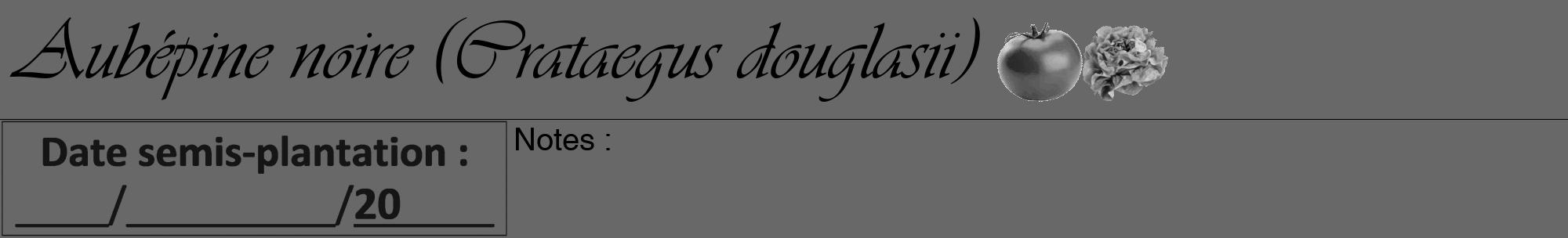 Étiquette de : Crataegus douglasii - format a - style noire6basiqueviv avec comestibilité simplifiée