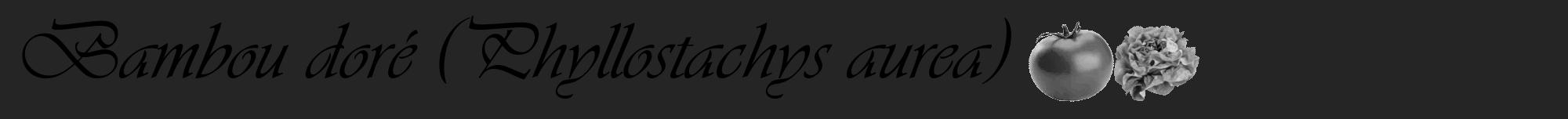 Étiquette de : Phyllostachys aurea - format a - style noire47viv avec comestibilité simplifiée