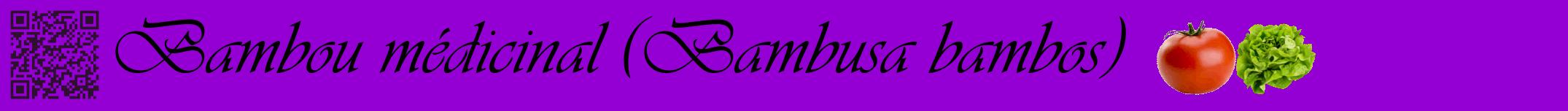 Étiquette de : Bambusa bambos - format a - style noire48basiqueviv avec qrcode et comestibilité simplifiée