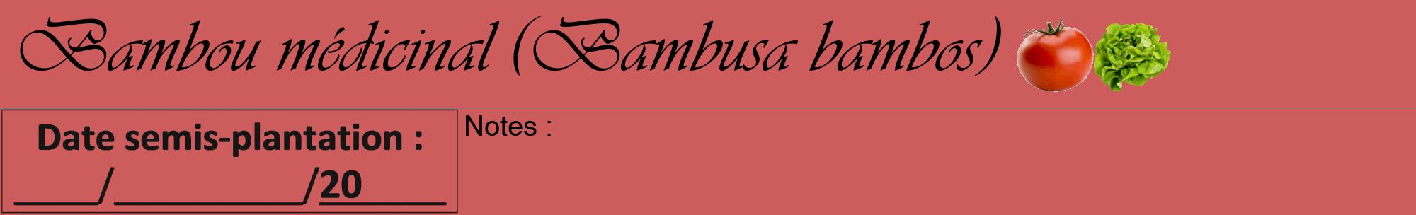 Étiquette de : Bambusa bambos - format a - style noire35viv avec comestibilité simplifiée