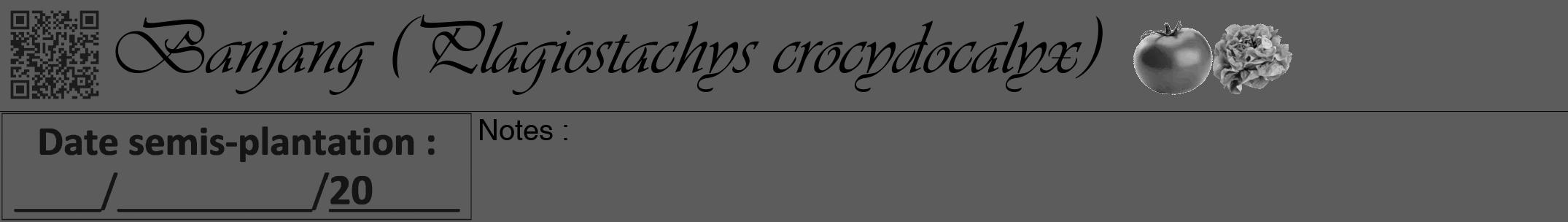 Étiquette de : Plagiostachys crocydocalyx - format a - style noire49viv avec qrcode et comestibilité simplifiée