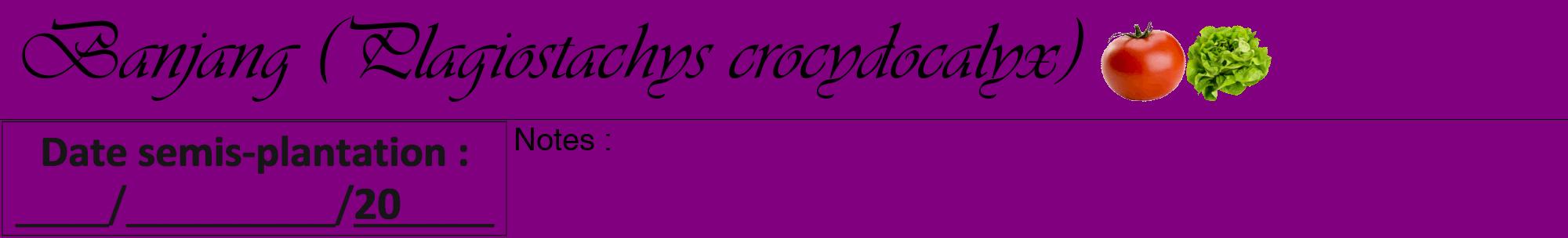 Étiquette de : Plagiostachys crocydocalyx - format a - style noire46viv avec comestibilité simplifiée