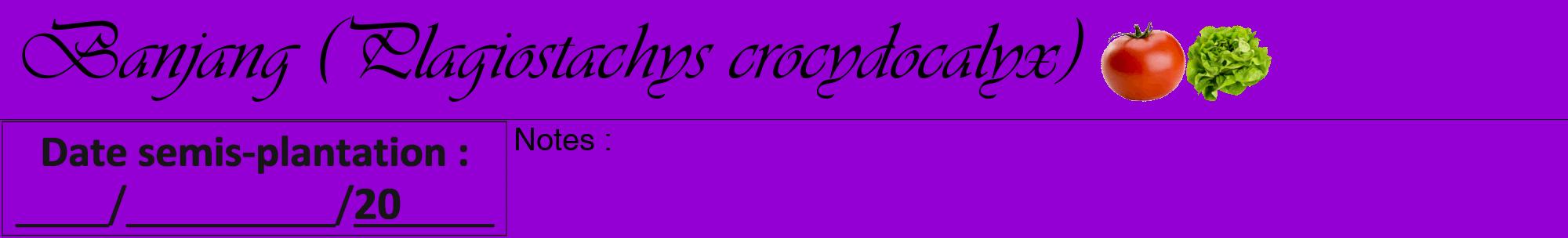 Étiquette de : Plagiostachys crocydocalyx - format a - style noire48viv avec comestibilité simplifiée