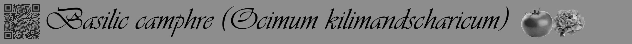 Étiquette de : Ocimum kilimandscharicum - format a - style noire2viv avec qrcode et comestibilité simplifiée
