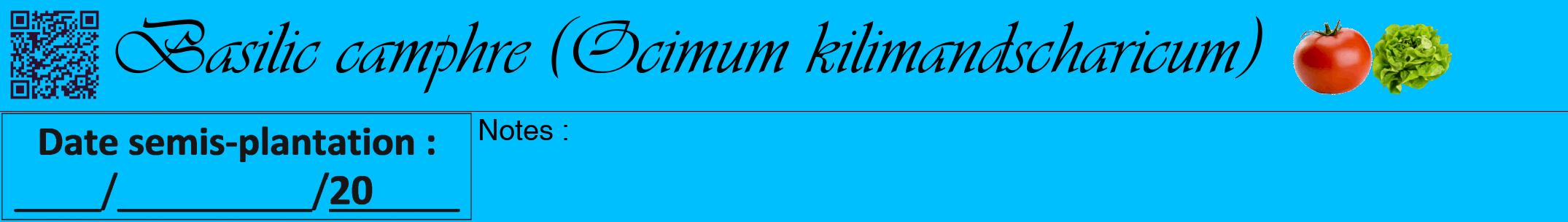 Étiquette de : Ocimum kilimandscharicum - format a - style noire2viv avec qrcode et comestibilité simplifiée