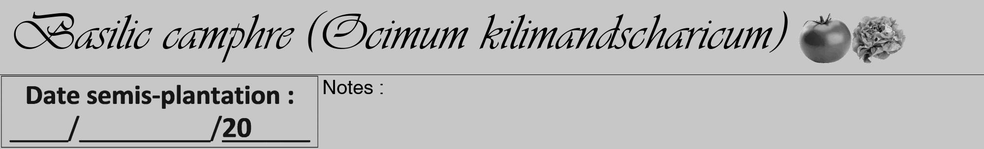 Étiquette de : Ocimum kilimandscharicum - format a - style noire15viv avec comestibilité simplifiée