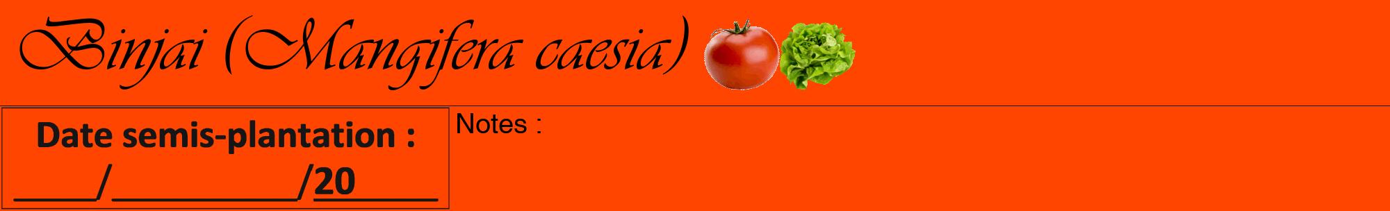 Étiquette de : Mangifera caesia - format a - style noire26viv avec comestibilité simplifiée