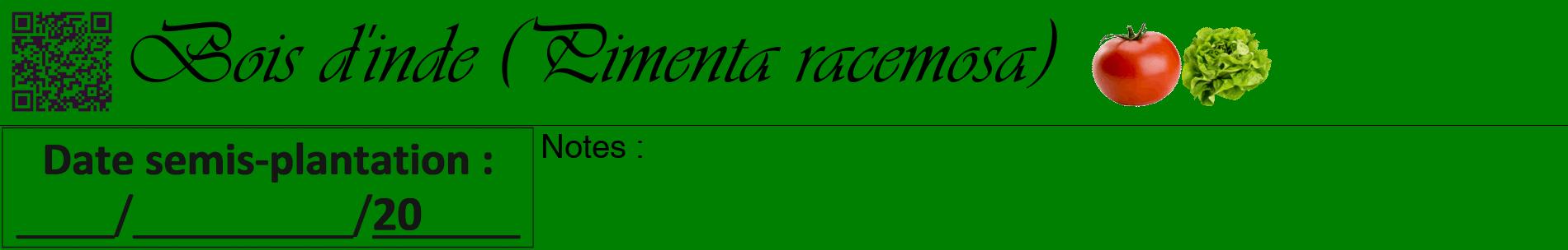 Étiquette de : Pimenta racemosa - format a - style noire9basiqueviv avec qrcode et comestibilité simplifiée