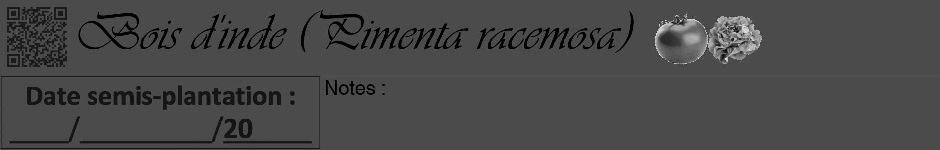 Étiquette de : Pimenta racemosa - format a - style noire9basiqueviv avec qrcode et comestibilité simplifiée