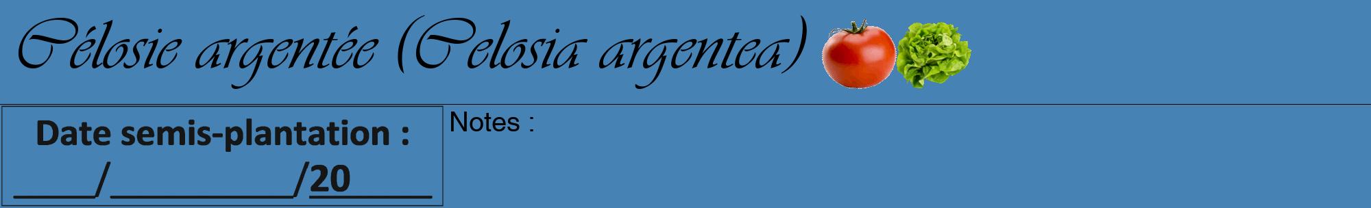 Étiquette de : Celosia argentea - format a - style noire5viv avec comestibilité simplifiée