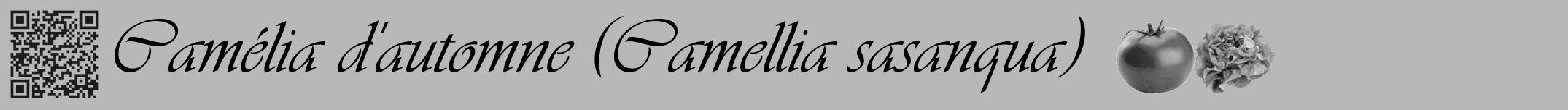 Étiquette de : Camellia sasanqua - format a - style noire39viv avec qrcode et comestibilité simplifiée