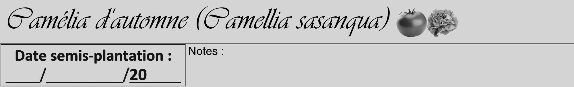 Étiquette de : Camellia sasanqua - format a - style noire40viv avec comestibilité simplifiée