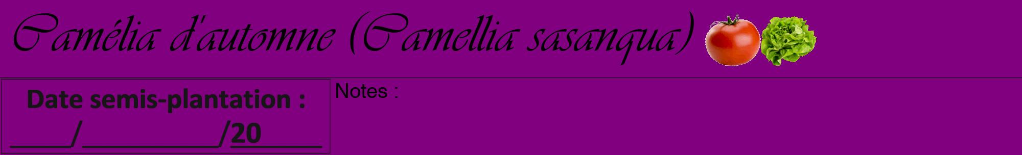 Étiquette de : Camellia sasanqua - format a - style noire46viv avec comestibilité simplifiée