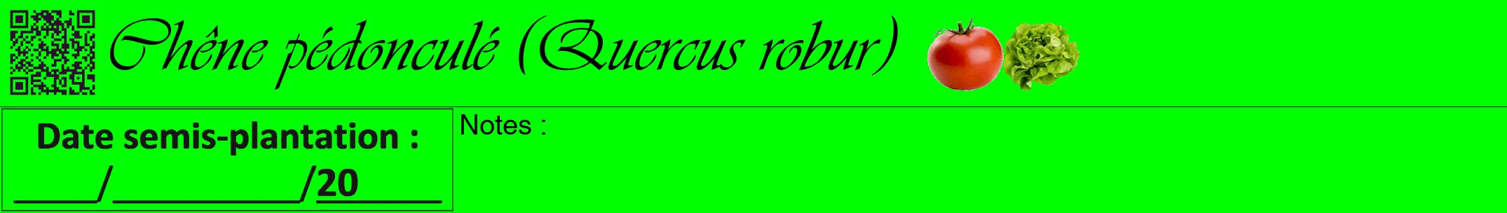 Étiquette de : Quercus robur - format a - style noire16viv avec qrcode et comestibilité simplifiée