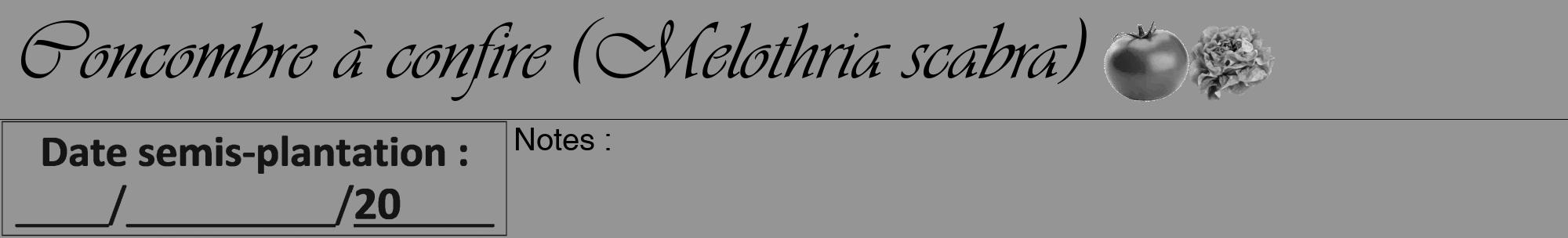 Étiquette de : Melothria scabra - format a - style noire16viv avec comestibilité simplifiée