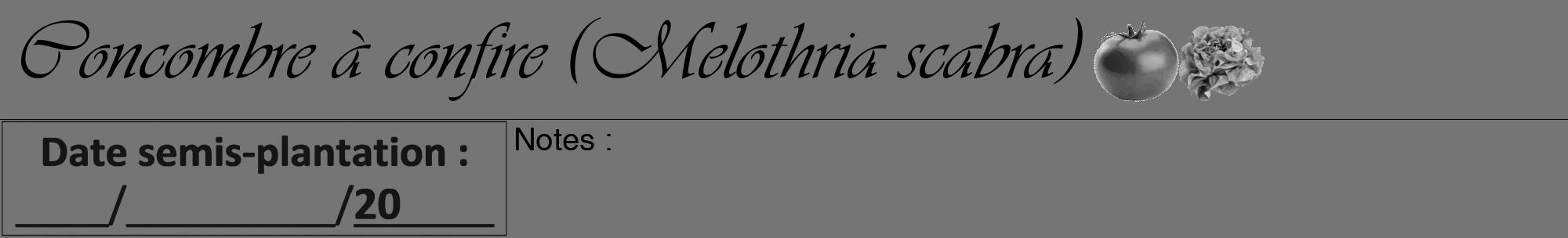 Étiquette de : Melothria scabra - format a - style noire5viv avec comestibilité simplifiée