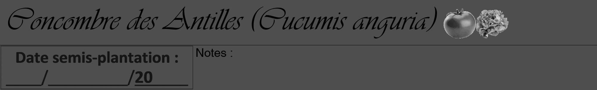 Étiquette de : Cucumis anguria - format a - style noire33viv avec comestibilité simplifiée