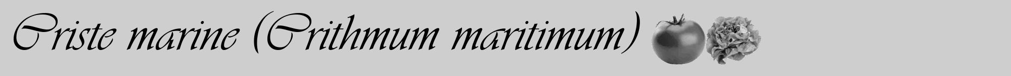 Étiquette de : Crithmum maritimum - format a - style noire17viv avec comestibilité simplifiée