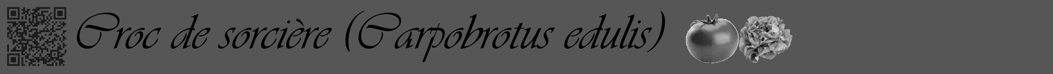 Étiquette de : Carpobrotus edulis - format a - style noire45viv avec qrcode et comestibilité simplifiée