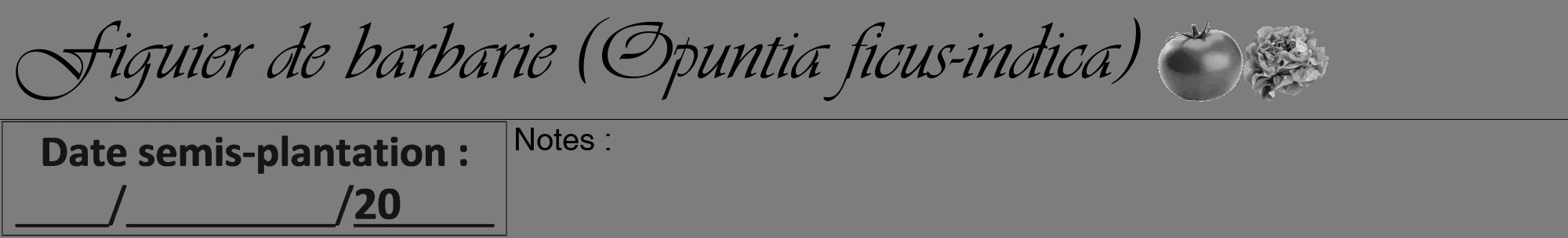 Étiquette de : Opuntia ficus-indica - format a - style noire35viv avec comestibilité simplifiée