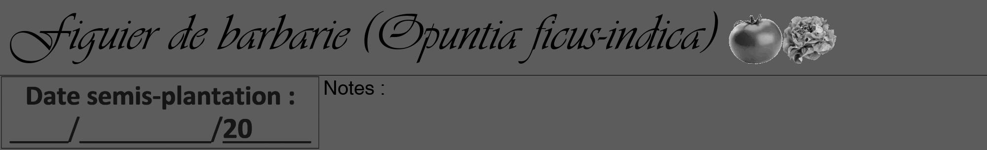 Étiquette de : Opuntia ficus-indica - format a - style noire49viv avec comestibilité simplifiée